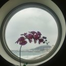종로한사랑약국 네이버블로그