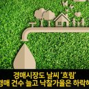 경매시장도 날씨 ‘흐림’ 경매 건수 늘고 낙찰가율은 하락해 이미지