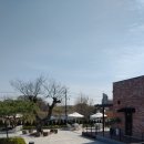 cafe-in 세종