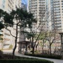 롯데클래식공인중개사사무소 이미지