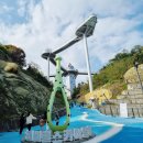 서울민박 | 삼척 여행 1박2일 코스 완벽 정리｜도째비골 스카이밸리 포함 동해 여행 루트
