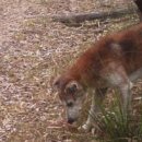 간양농장 이미지