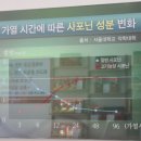 정관장홍삼백석점