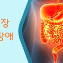 세종해밀한의원 네이버블로그