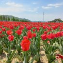 동읍1174 이미지