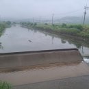 충서로 2(국도21호선) 이미지