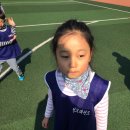 청도태권도 이미지