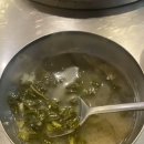 장수갈매기 이미지