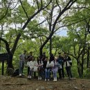 숲속나들이길 | 플로비티와 함께한 창원 숲속나들이길 4구간 플로깅 후기