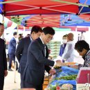 장안산 봄나물 축제 이미지