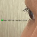 현풍동물병원 | [스페이스블링] 현풍뷰티샵 / 현풍속눈썹 / 텍폴속눈썹펌 / 솔직후기💛