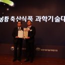 티엔티컨설팅 이미지