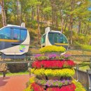 [정상출발] 10월14일(화) 속리산단풍/모노레일과 대추농장 트레킹(장봉대장) 빈자리1 이미지