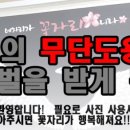 네자리가꽃자리니라 이미지