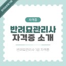 노인건강관리사 자격 과정 | 반려묘관리사 직업의 실제 일과와 자격 취득 방법
