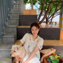 데일리-룩 이미지