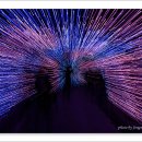 빛의 공간 이미지