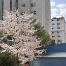솔리체헤어 김해봉황점 이미지