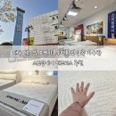 대구종합유통단지 섬유제품관 | 대구 텍스빌 오케이혼수백화점 3층 가구관 편안한 침대 스프링에어 매트리스 추천