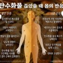 더 나인 휘트니스 네이버블로그
