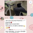 천안나노주산암산교습소 | 천안 나노주산학원에서 2번째 자격증 땄어요 땄어!