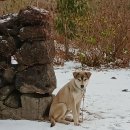 내유농장 이미지