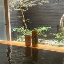 무진장여객자동차주식회사 | 나고야 온천 갈고야! -2 게로 온천 당일치기🐸/오가와야호텔 전세탕 예약/모츠나베/나고야 근교 여행