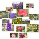 천문공원 이미지