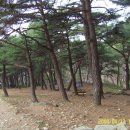 앞산으로 가는길 이미지