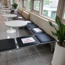 내 친구 송아지 이미지