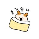 제주선채향 이미지