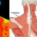 건강한뇌신경과의원 이미지