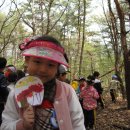 꿈나무유치원 이미지