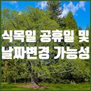 식목일 티스토리