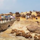 석제농장 이미지