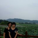 홍련마을