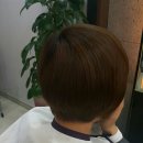 모완10(MOWAN)