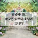 로바타봉선