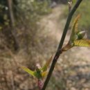 금당어린이집 이미지