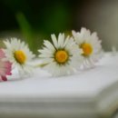 양천구청 이미지