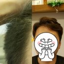 장스헤어 이미지