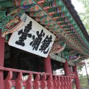 제일강산 이미지