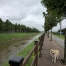 호국로627번길 이미지