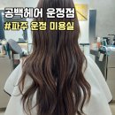 파주 운정 미용실 공백헤어 파주운정점 소윤디자이너님께 아윤채 클리닉 받은 후기