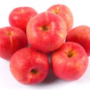 거성농원 이미지