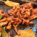 장정정 카카오 검색결과