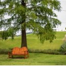 보라온누리약국 이미지