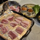 오냉삼 | [수원맛집] 냉삼포차 본점, 냉동삼겹살 솔직후기 !