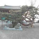 단월약국 이미지