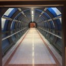 롯데사우나 | [을지로] 롯데호텔 서울 🥐조식&amp;사우나 솔직후기